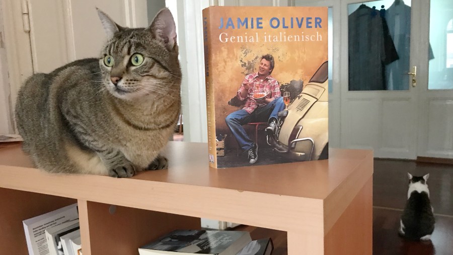 9042DC5A-CF2C-4651-BEE9-6661CCA39261